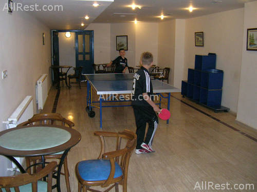 Violin Hotel 24